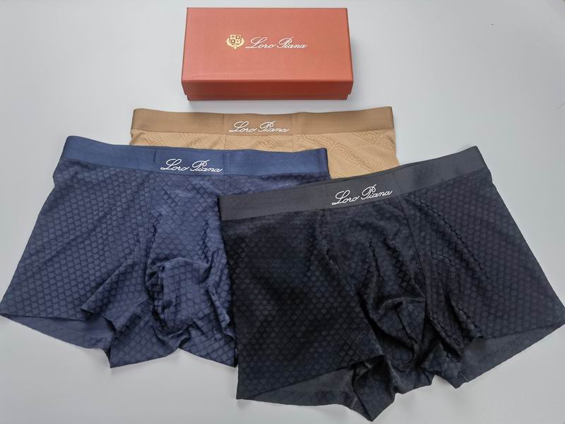 LP boxer L-4XL 06
